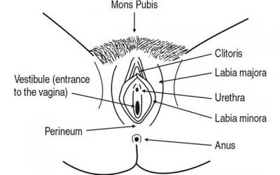 Importance of Vulva Self Examination