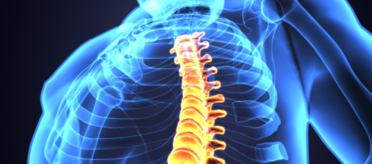 Stem Cell Treatment in India | Stem Cell therapy for Spinal cord Injury